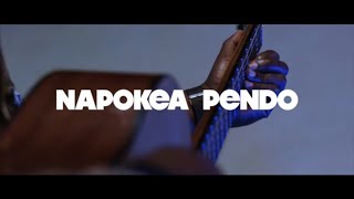 Charles Mallya - Napokea Pendo (Official Music Video) SKIZA CODE 6387865