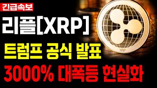 [리플 전망] 트럼프 이제 슬슬 일하기 시작하네요