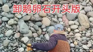 2500吨自卸船卸鹅卵石开头版 河边捡石头 天然奇石 石来运转 船舶卸货减压视频 @@兵哥