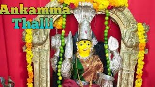 Vaka vari Kolupulu_2 | Ankamma Thalli Kolupulu | Kranthi Vlogs | Jai NTR | Repalle Videos