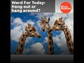 hang out or hang around with