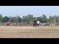 cricket in buggawala uttarakhand