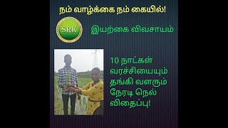 10 நாட்கள் வரச்சியையும் தங்கி வளரும் நேரடி நெல் விதைப்பு