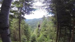 Hirschgrund Zipline - Final Run