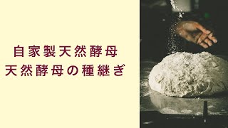 【自家製天然酵母】天然酵母の種継ぎについて　フルーツ酵母　自家製天然酵母　パン教室　教室開業　大阪　奈良　東京　名古屋　オンライン講座