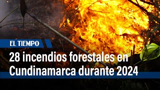 Incendios forestales han afectado 144,5 hectáreas de Cundinamarca en lo corrido de enero | El Tiem