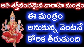 అతి శక్తి వంతమైనా వారాహి మంత్రం కోరిక అనుకోవడమే ఆలస్యం వెంటనే తీరుతుంది|varahi miracles|mantram