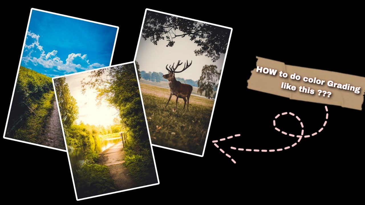 How To Do Color Grading Youtube