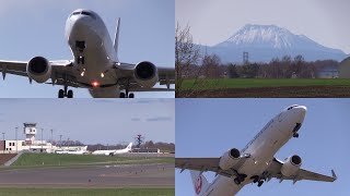 22/05/05 女満別空港 日本航空 JAL Boeing 737-800 (JA333J) Arrival \u0026 Departure at Memanbetsu Airport, RJCM