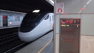 22次樹林發車經由花東線開往台東的超優質直達EMU3000型十二輛編組EMU3031皮蛋豆腐騰雲號綠色帶新城際自強號列車團體列車