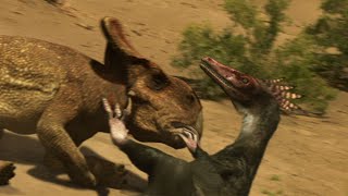 Velociraptor vs. Protoceratops | The Truth About Killer Dinosaurs (BBC One)