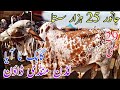 Ludan Mandi Down 29 May Gahak Na aya fi Janwar 25 Hazar sasta Qurbani 2024 latest update today