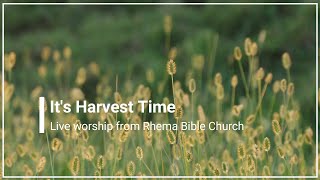 It's Harvest Time Praise Africa with Lyrics (4K)