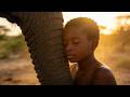 FEEL EVERYTHING & LET IT GO | African Ancestral Music for a Deep Cry | 528Hz Somatic Release