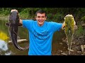 CATFISHING with LIVE BAIT to STOCK MY POND!