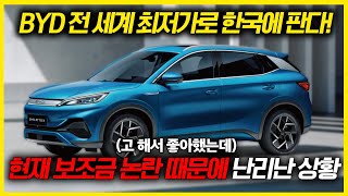 BYD 아토3, 2025년 보조금 확정 후 현재 난리난 상황... 이거 어쨰..?