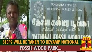 Steps will be Taken to Revamp 12 Crore Years old Ancient National Fossil Wood Park - Thanthi TV