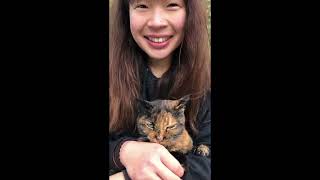 猫になめられるだけなめられる女子スタッフ。