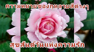 ความหมายของกุหลาบสีต่างๆ สุขสันต์วันวาเลนไทน์ ขอให้ทุกคนมีความรักที่ดีและมั่นคงตลอดไปนะคะ