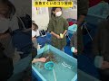 【金魚の館】②店員さんに金魚すくいのコツを教えてもらったよ🧙 北海道旭川市✨ ninjya shorts 旭川市 トレーシー スティーブ 金魚すくい 金魚の館