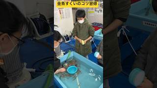 【金魚の館】②店員さんに金魚すくいのコツを教えてもらったよ🧙 北海道旭川市✨ #ninjya #shorts #旭川市 #トレーシー #スティーブ #金魚すくい #金魚の館