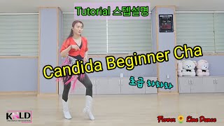 🍀Candida Beginner Cha #Tutorial #스텝설명 #칸디다 #초급 차차차 #재미있는 #턴 #안미경라인댄스 #상주라인댄스 #flowerlinedance