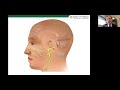 pni facial paralysis webinar management of lower face for facial paralysis and synkinesis