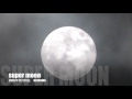 スーパームーン super moon 最接近時間帯