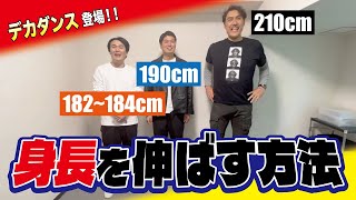 【身長を伸ばす方法】高身長芸人デカダンス登場！背が高くなるために必要なものとは！？【身長210cm石橋貴俊】