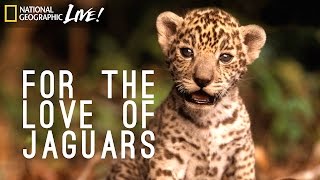 For the Love of Jaguars | Nat Geo Live