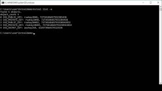 BlackVault HSM - Using BV Tool