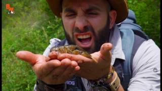 NEW SPECIES FOUND?! Rare Blue Crayfish!/Найден новый вид! Редкий синий рак/Русский