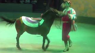 68 Chinese Circus in Shanghai China 上海马戏团