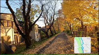 紅葉ハイシーズン(3/3) ヤバい日が暮れる 拝島駅～羽村取水堰～多摩川サイクリングロード