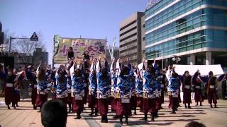 福井大学よっしゃこい2012「暁」　がんこ祭り　東街区ロータリー