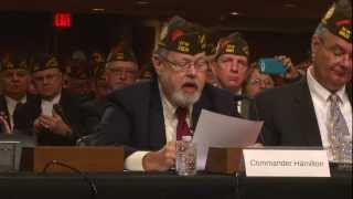 VFW Testifies about Veterans and Mental Health Issues