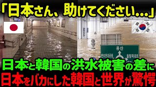 【海外の反応】「やっぱり日本は凄かった！」ゲリラ豪雨直後の東京の駅構内を映した風景が日本でしかあり得ない驚異的な光景だと世界が衝