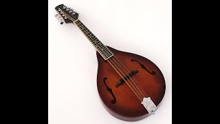 All Solid Wood A Mandolin (PMA-009, Shanghai Music Show Sample) #pangomusic #mandolin