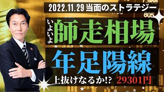 「いよいよ師走相場　年足陽線は29301円！」【河合達憲の当面のストラテジー：2022/11/29】株、日経平均、株価