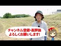 家庭菜園や農園の夏野菜栽培で病害虫対策！カメムシ対策やうどんこ病予防の秘訣と夏野菜の育て方！【農家直伝】