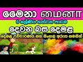 Grade 6 (Tamil 07 Lesson in Sinhala Media )