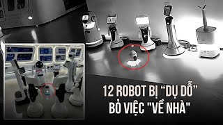 Vụ robot \