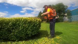 Stihl HSA94R demonstration and free kit out