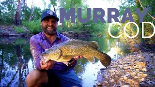 Clearwater Overnight Murray Cod Mission
