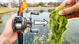 Fishing In SLIME FILLED PONDS For Bass ("100 Ponds" Ep. 20)