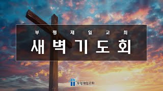 [부평제일교회] 새벽기도회 2025년 1월 3일(금) - 류래신 담임목사