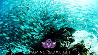 33 Min | Calm Anxiety & Stress - Meditative Music - Be aware of your surrounding