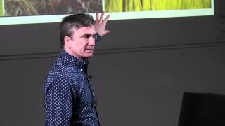 Achieving Food Security: Guy M Poppy at TEDxSouthamptonUniversity