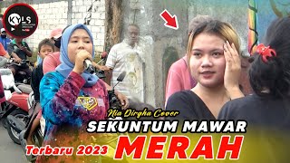 SEKUNTUM MAWAR MERAH ! RILISAN TERBARU VERSI NIA DIRGHA IRAMA DOPANG