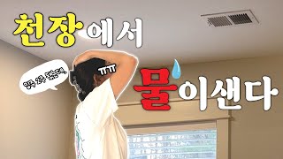 새집인데 천장 누수라니요..🤯🤬😩!! 혼란 속 집 정리, 이민 생활 하며 드는 잡다한 생각들, 장아찌 만들기 Water Leak in New US Home